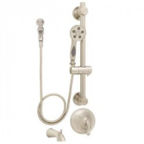 Caspian ADA Handheld Shower and Tub Combinations with Grab Bar in Brushed Nickel