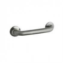 Transitional 12 in. x 1-1/4 in. Screw Grab Bar in Brushed Stainless