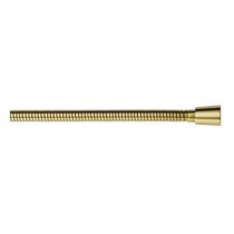 Stretchable Metal Hand Shower Hose in Polished Brass