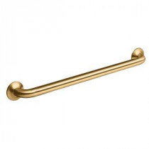 Transitional 24 in. Concealed Grab Bar in Vibrant Brushed Bronze
