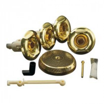 Flexjet Whirlpool Trim Kit with 4-Jets in Vibrant Polished Brass