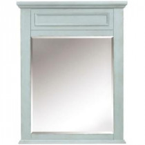 Sadie 36 in. L x 28 in. W Wall Mirror in Antique Blue