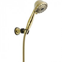7-Spray Adjustable Wall Mount Hand Shower in Polished Brass
