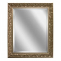 28.5 in. x 34.5 in. Ornate Mirror in Silver
