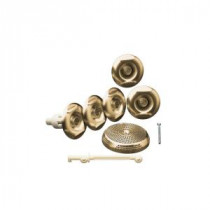 Flexjet Whirlpool Trim Kit with Five Jets in Vibrant Brushed Bronze