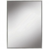 22.2 in. W x 27.7 in. L Framed Wall Mirror in Silver