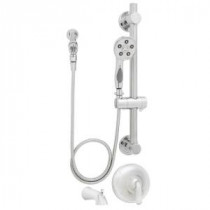 Caspian ADA Handheld Shower and Tub Combinations with Grab Bar in Polished Chrome