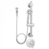 Alexandria ADA Handheld Shower Combinations with Grab Bar in Polished Chrome