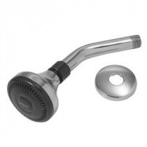 Mixet 1-Spray 2.125 in. Showerhead in Polished Brass