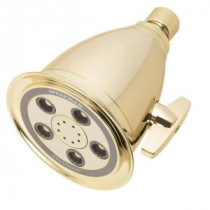 Anystream Hotel Massage 3-Spray 3.25 in. Showerhead in Polished Brass