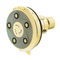 Anystream Napa 3-Spray Showerhead in Polished Brass