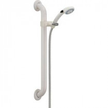 2-Spray 4 in. Hand Shower with Adjustable Grab Bar in White