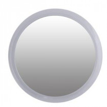 5X Acrylic Suction Cup Mirror in Clear