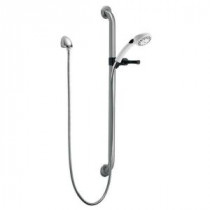 2-Spray Hand Shower with Grab Bar and Elbow in Chrome