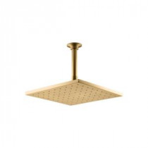 1-Spray 10 in. Contemporary Square Rain Showerhead in Vibrant Moderne Brushed Gold