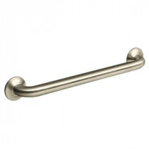 Transitional 18 in. Concealed Grab Bar in Vibrant Brushed Nickel