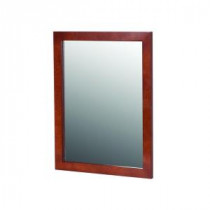 Lancaster 27 in. L x 20 in. W Wall Mirror in Amber