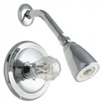 Single-Handle 1-Spray Shower Faucet in Chrome