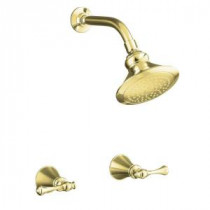 Revival 1-Spray 2-Handle Shower Faucet with Standard Showerarm and Flange in Vibrant Polished Brass