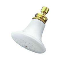 1-Spray 5-1/4 in. Fixed Shower Head in Polished Brass
