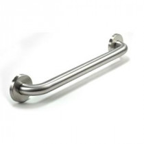 Premium Series 18 in. x 1.25 in. Grab Bar in Satin Stainless Steel (21 in. Overall Length)