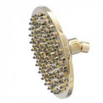 Sunflower 1-Spray 8 in. Showerhead with Easy Clean Jets in Polished Brass