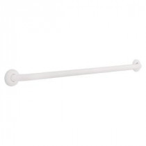 1-1/4 in. x 24 in. Grab Bar with Concealed Mounting in White