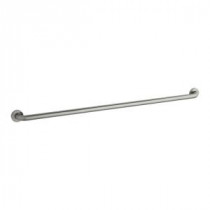 Contemporary 54 in. x 2-3/4 in. Grab Bar in Brushed Stainless