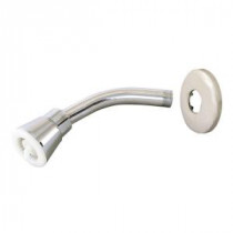 1-Spray 2 in. Showerhead with Ball Joint Shower Arm in Chrome