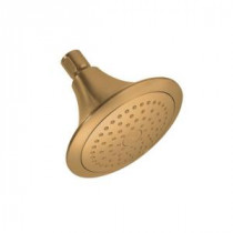 Forte 1-Spray Katalyst Showerhead in Vibrant Brushed Bronze