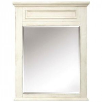 Sadie 36 in. L x 28 in. W Wall Mirror in Antique Cream